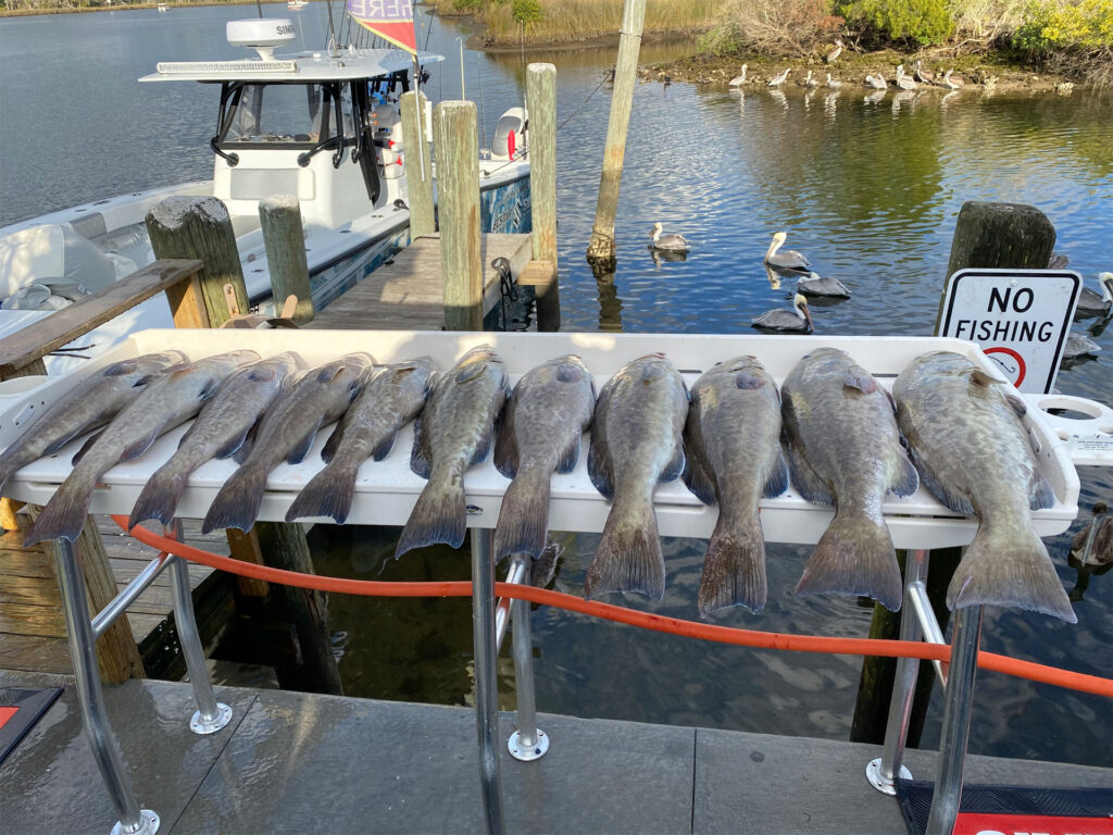 The Most Overrated and Underrated Catches of the Season