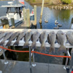 The Most Overrated and Underrated Catches of the Season