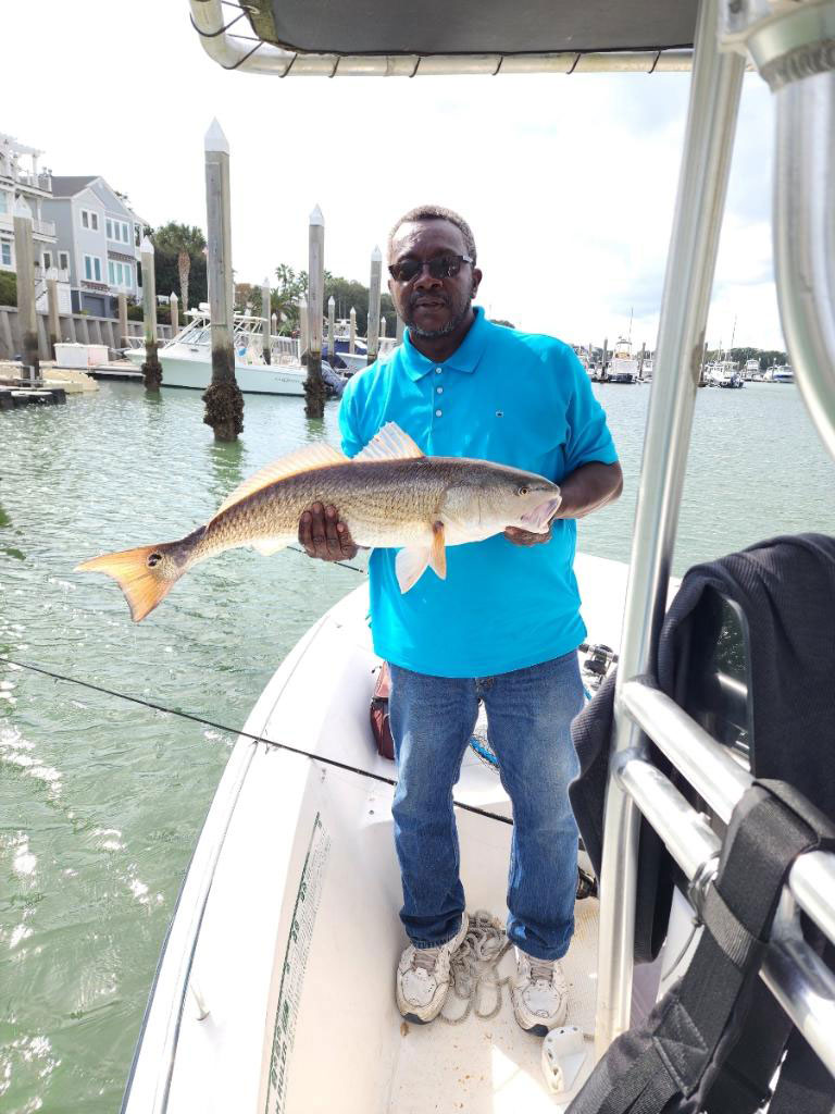 When Is the Best Time for a Half Day Trip?